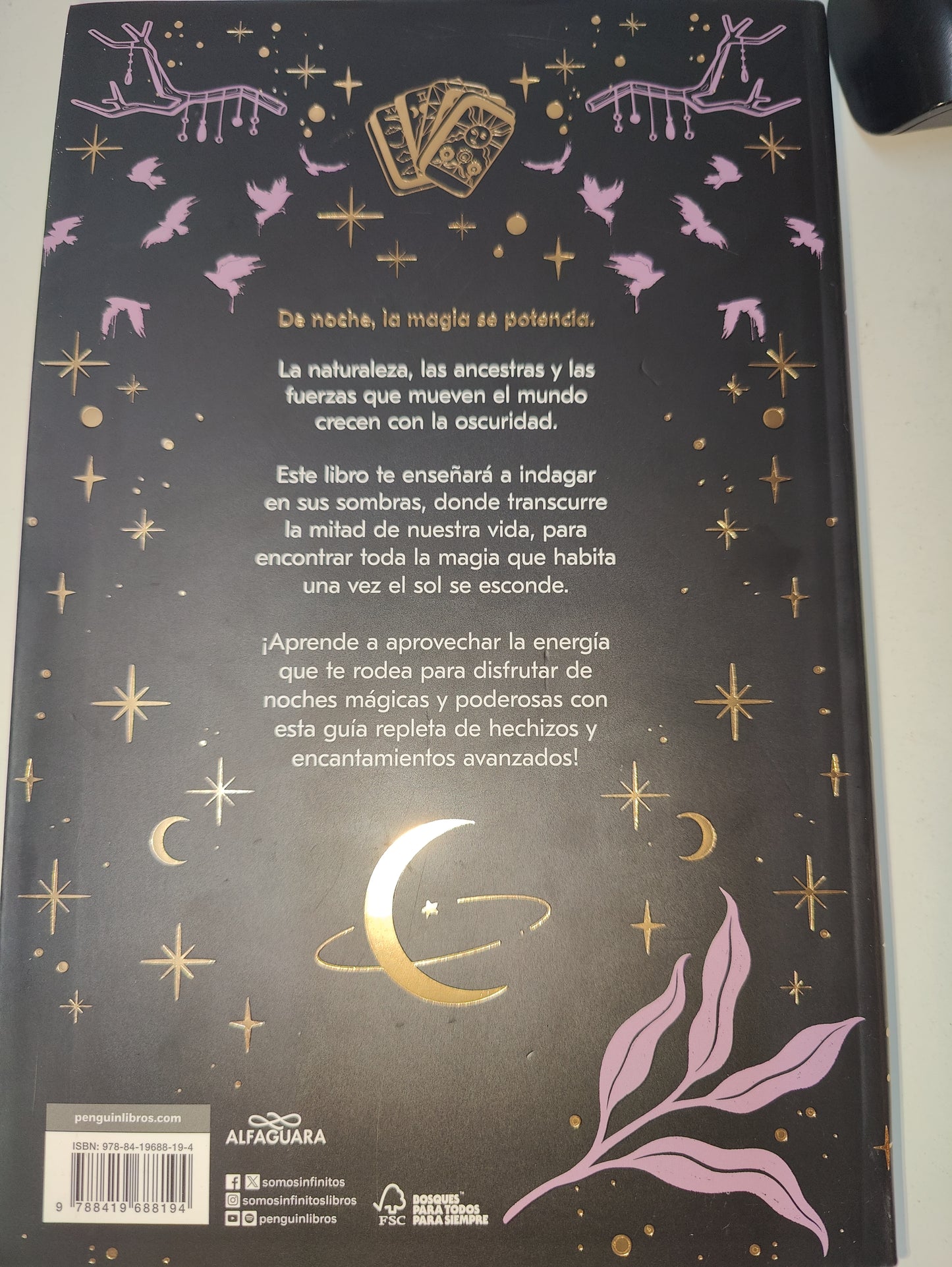 LA BRUJA DE NOCHE