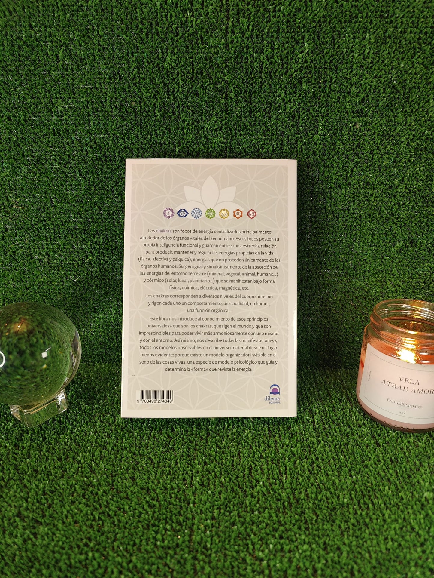 PSICOLOGÍA DE LOS CHAKRAS: TIPOLOGÍA ENERGÉTICA DE LOS CARACTERES HUMANOS