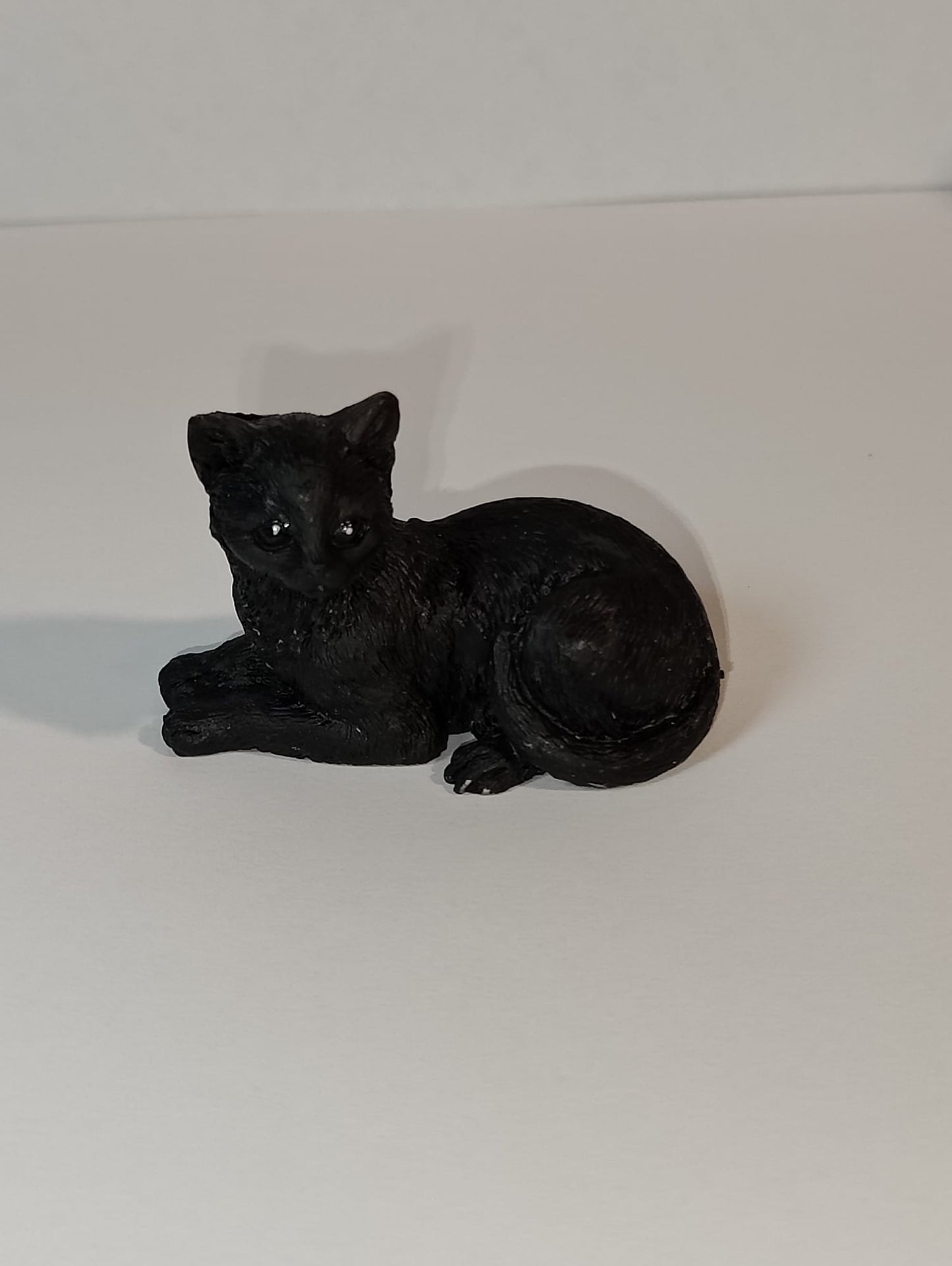 GATO NEGRO DE LA SUERTE Y PROTECCIÓN