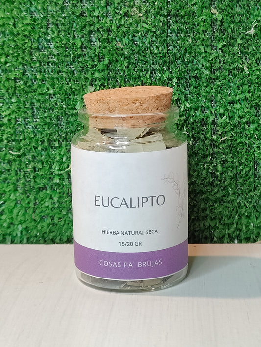 EUCALIPTO