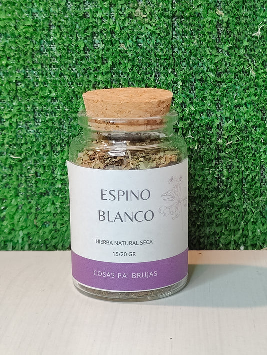 ESPINO BLANCO