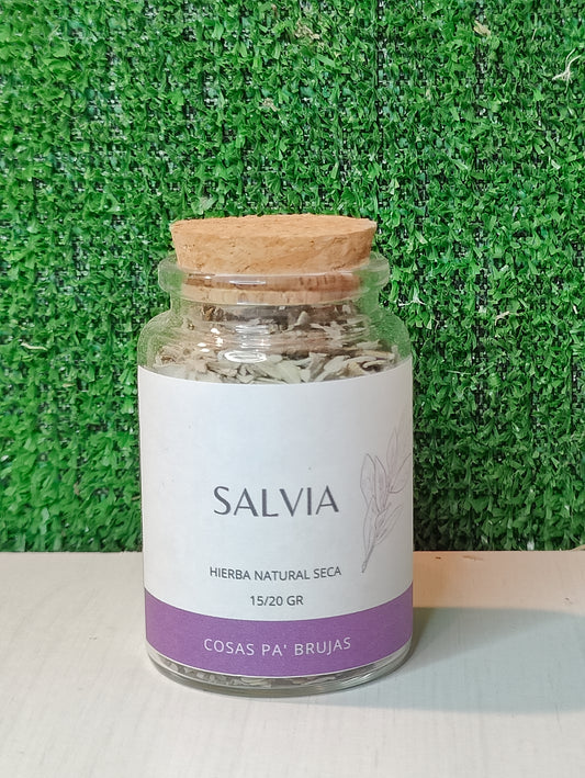 SALVIA