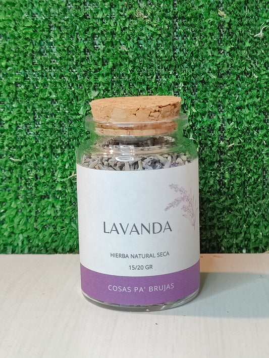 LAVANDA