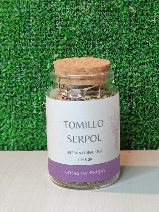 TOMILLO SERPOL