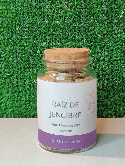 RAIZ DE JENGIBRE